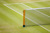 Celebrating Tennis History: Inside the Grand Slam Timed Auction with Golden Age of Tennis